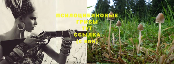 ALPHA-PVP Бородино