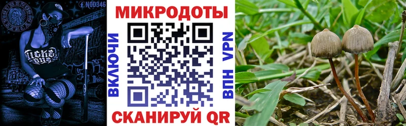 Купить  Чапаевск  Галлюциногенные грибы прущие грибы 